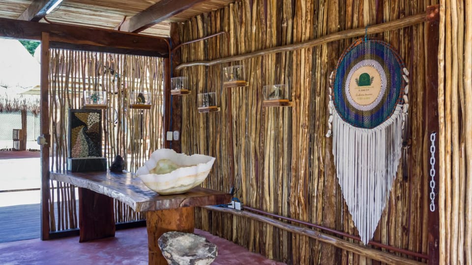 Jungla y Estrellas Hotel in State of Quintana Roo