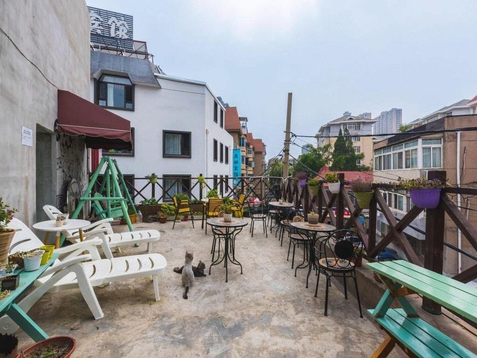 Buzz Lightyear Youth Hostel Hostel in Dalian
