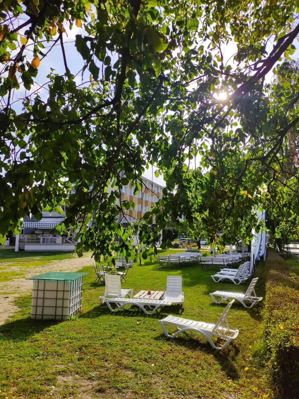Garden