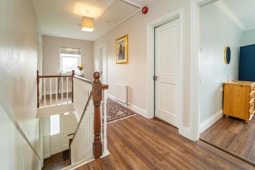 Five Ferns House Hotel in Westport