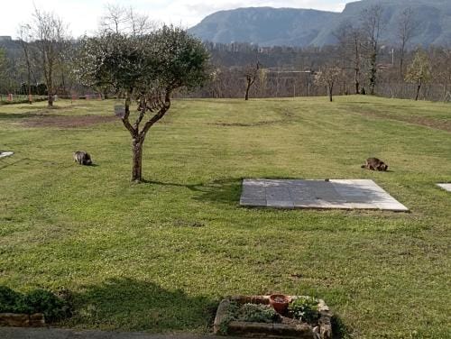 Affittacamere La Foresta di Sopra Hotel in Emilia-Romagna