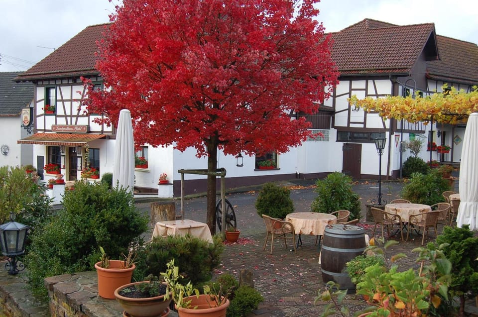Landgasthaus Pfahl Hotel in Ahrweiler