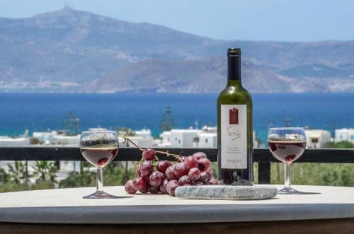 Orama Studios Hotel in Naxos, Naxos and Lesser Cyclades, Greece