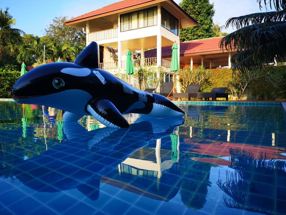 Swimming pool [outdoor]