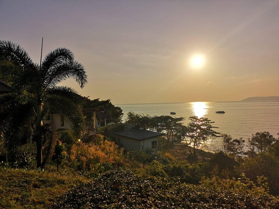 Surrounding environment