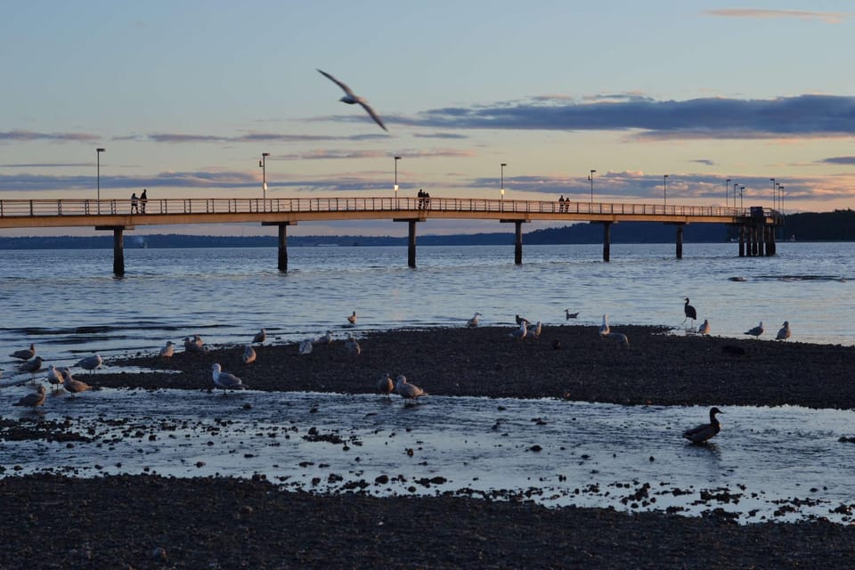 Hampton Inn & Suites Seattle-Airport/28th Ave Hotel in SeaTac