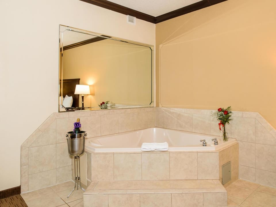 Hampton Inn Victoria Hotel in Victoria
