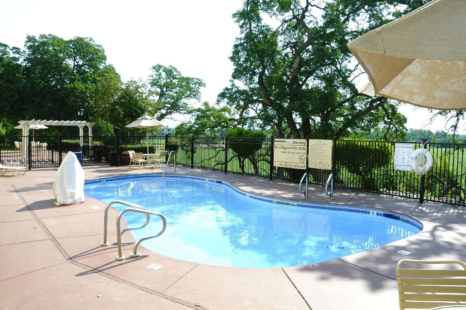Swimming pool [outdoor]