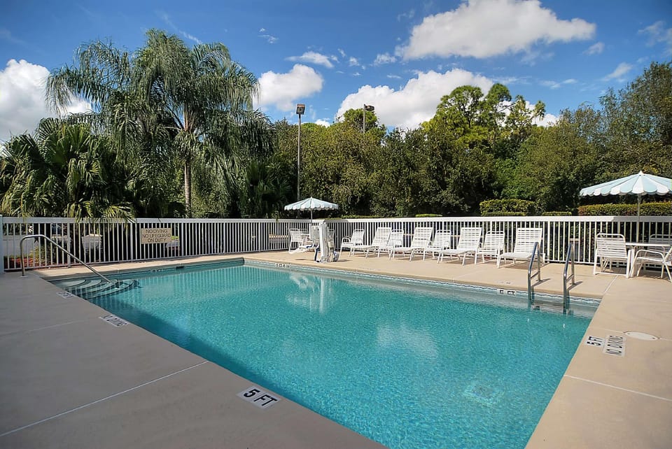 Swimming pool [outdoor]