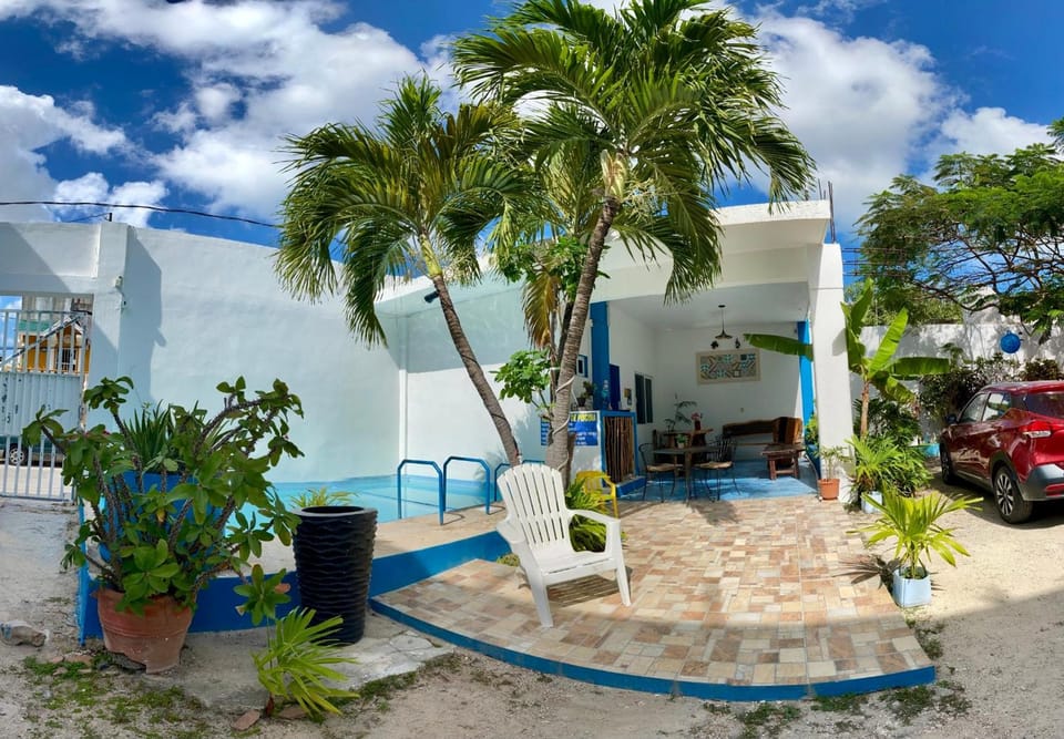 Blue Coconut Cancun Hotel Hotel in Cancun