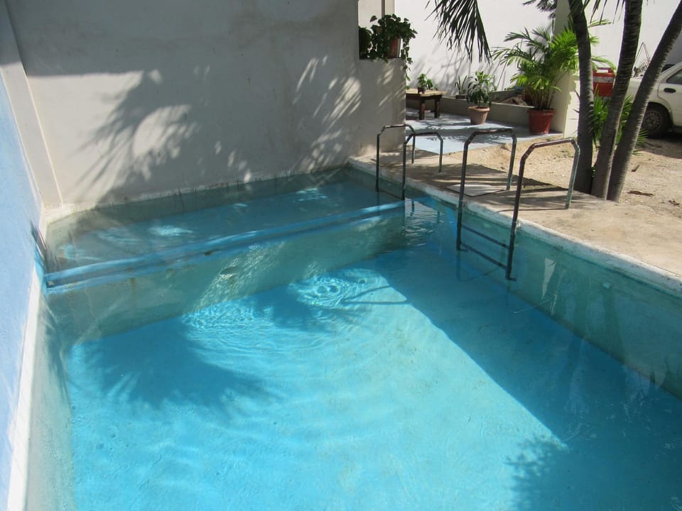 Blue Coconut Cancun Hotel Hotel in Cancun