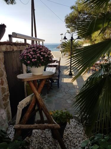 Marina Hotel in Nikiti