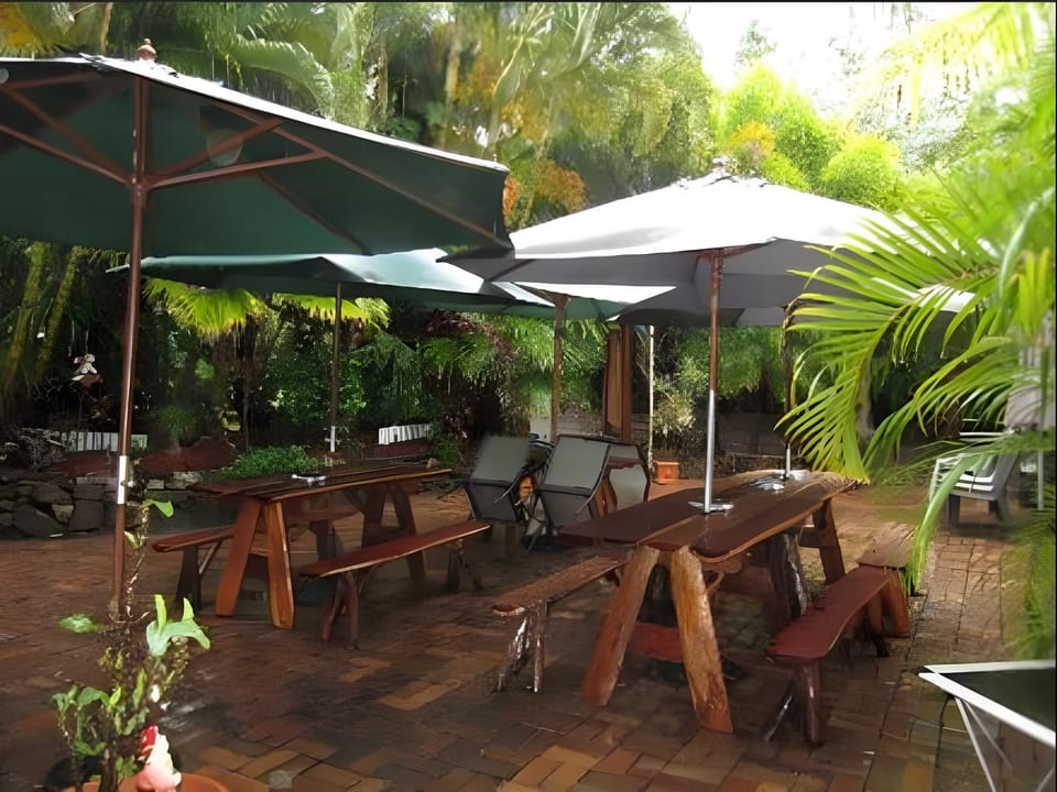 Cool Bananas Backpackers Hostel in Agnes Water