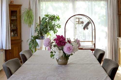 Wellintown Guest House Hotel in Flanders
