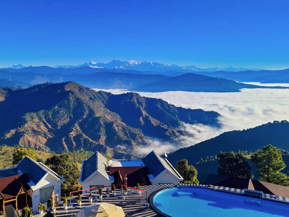 View