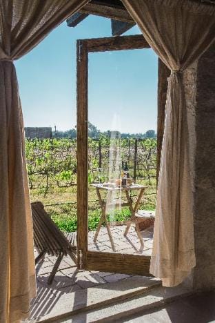 Viñedo Tierra de Alonso Lodge in State of Querétaro