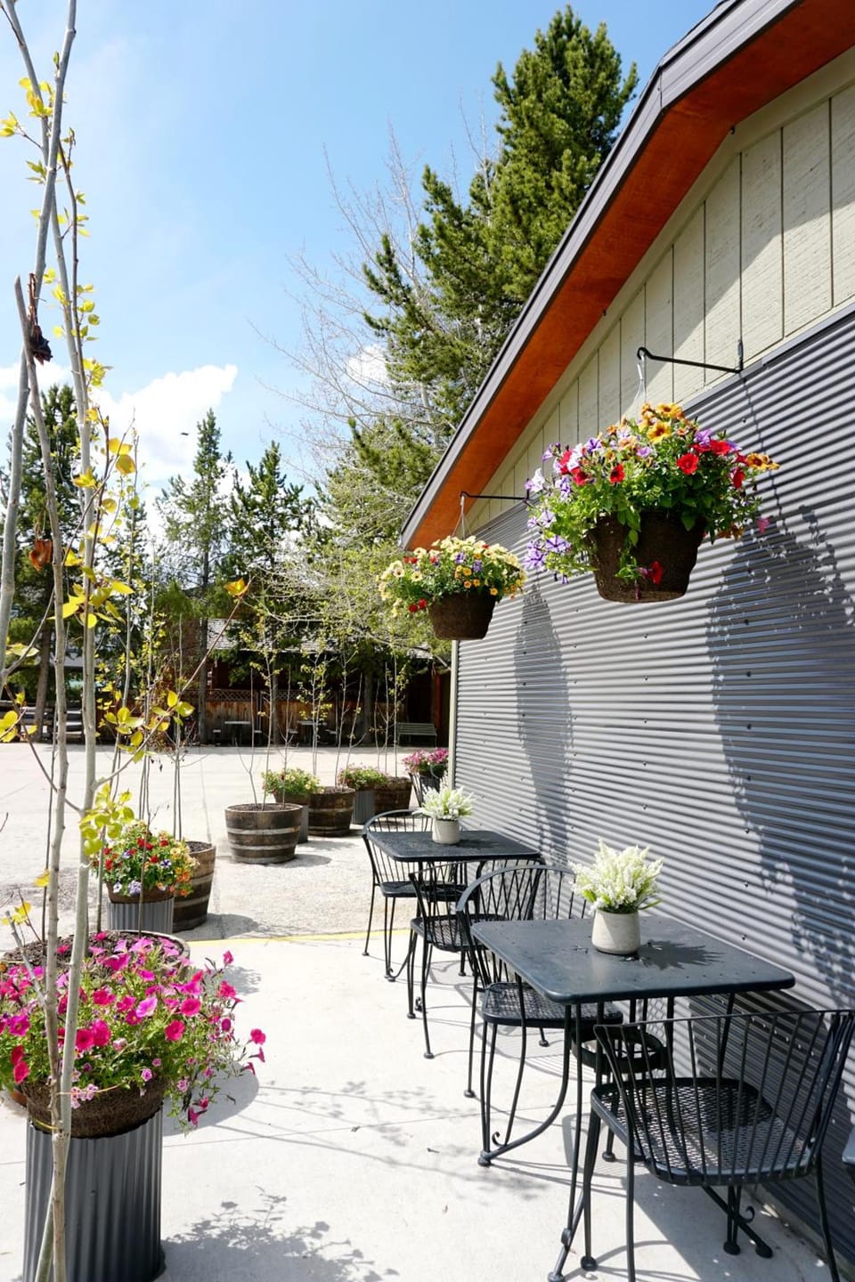 Moose Creek Inn Motel in West Yellowstone