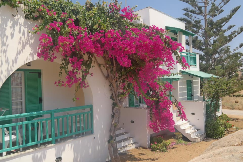 Panoramic View Hotel in Naxos, Naxos and Lesser Cyclades, Greece