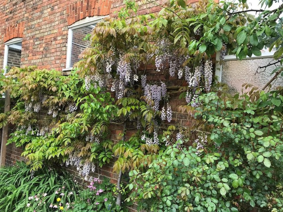 The Old Bookbinders Retreat [VR] Hotel in Oxford