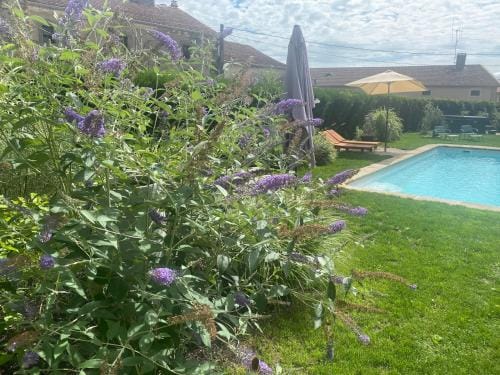 LE CHATEAU DE MONTHUREUX LE SEC Hotel in Vosges