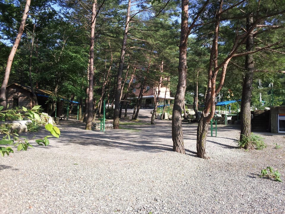 Badminton court