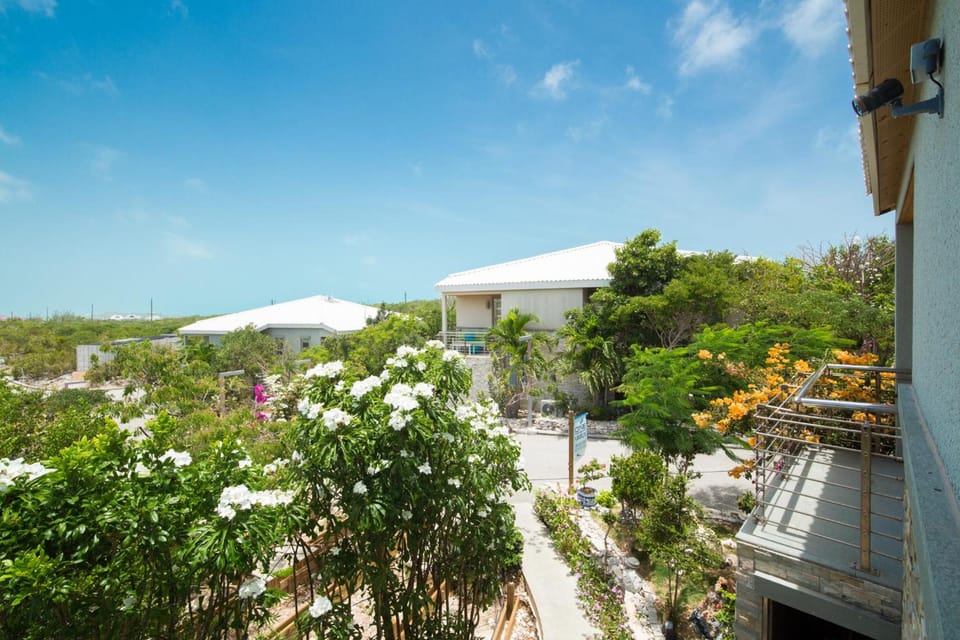 ONE ON MARLIN SPA RESORT Resort in Venetian Road Settlement