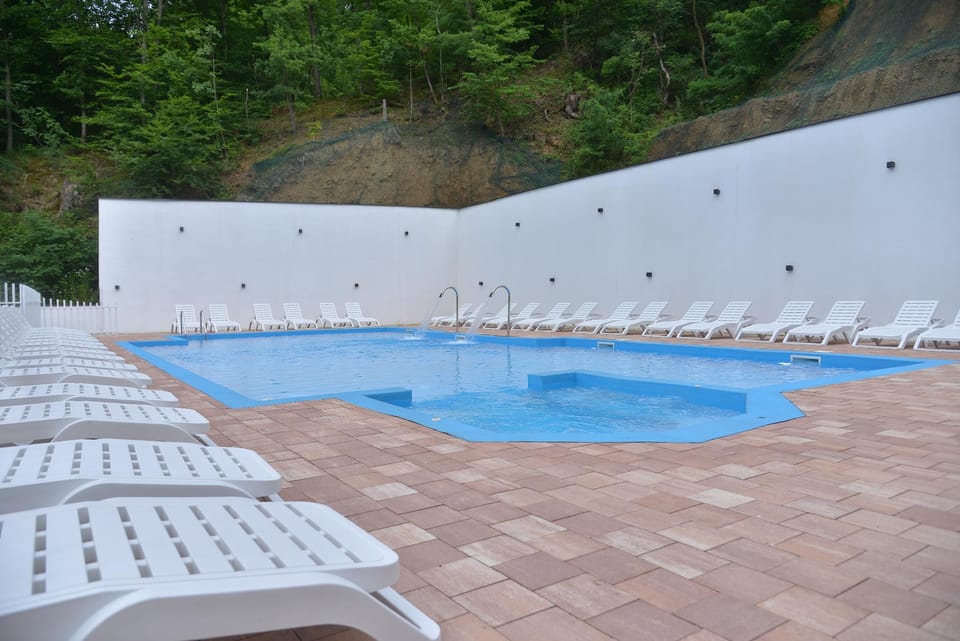 Royal Spa Ribarska Banja Pollock Hotel Hotel in Serbia