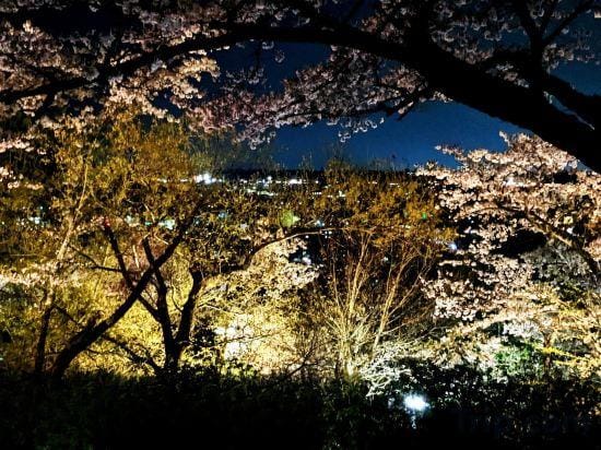 Kawachi No Yado Hotel in Osaka Prefecture
