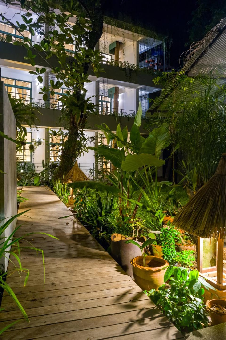 Big Tree Boutique Hotel Hotel in Ko Tao