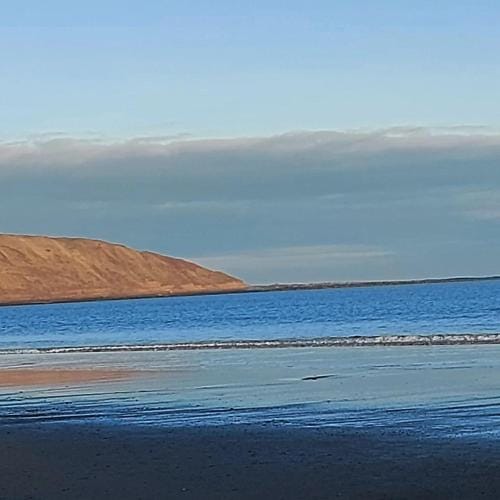 Daffodil Guest House Hotel in Filey