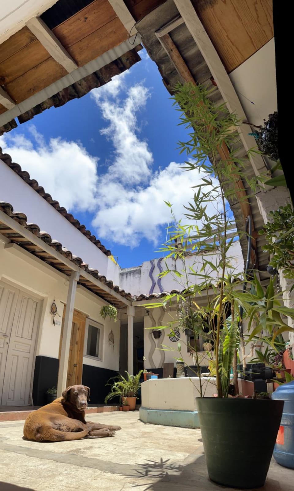 Hostal Posada Mi Casa Hostel in San Cristobal de Casas