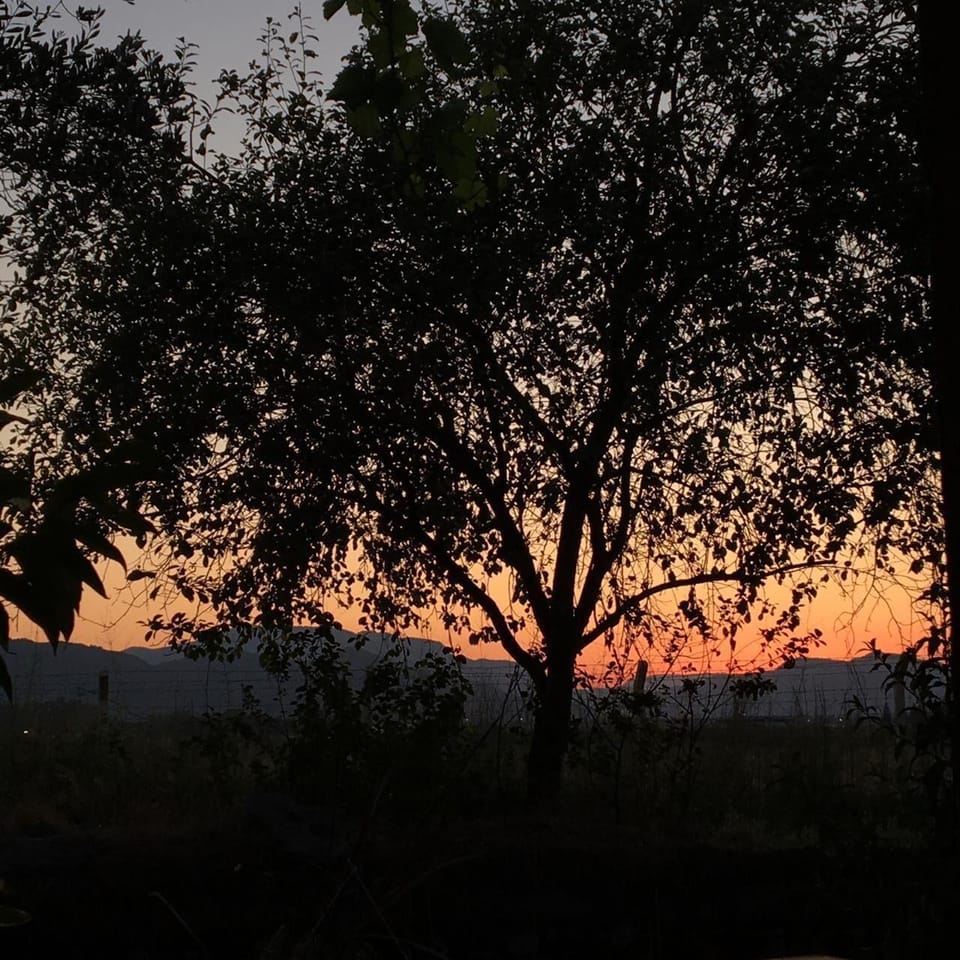 Airport Guest House Hotel in Muğla Province