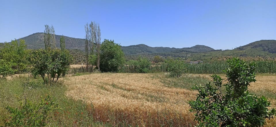 Airport Guest House Hotel in Muğla Province