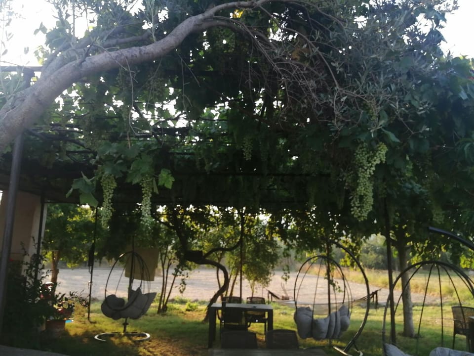 Airport Guest House Hotel in Muğla Province