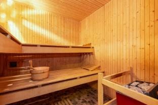 App Les Rocailles 9 | family retreat | with Sauna Hotel in Riddes