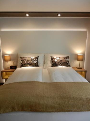 Landgasthof Schwanen Hotel in Canton of Zurich