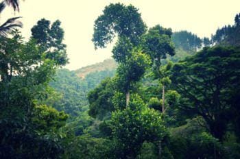 Rockview Holiday Bungalow Hotel in Central Province