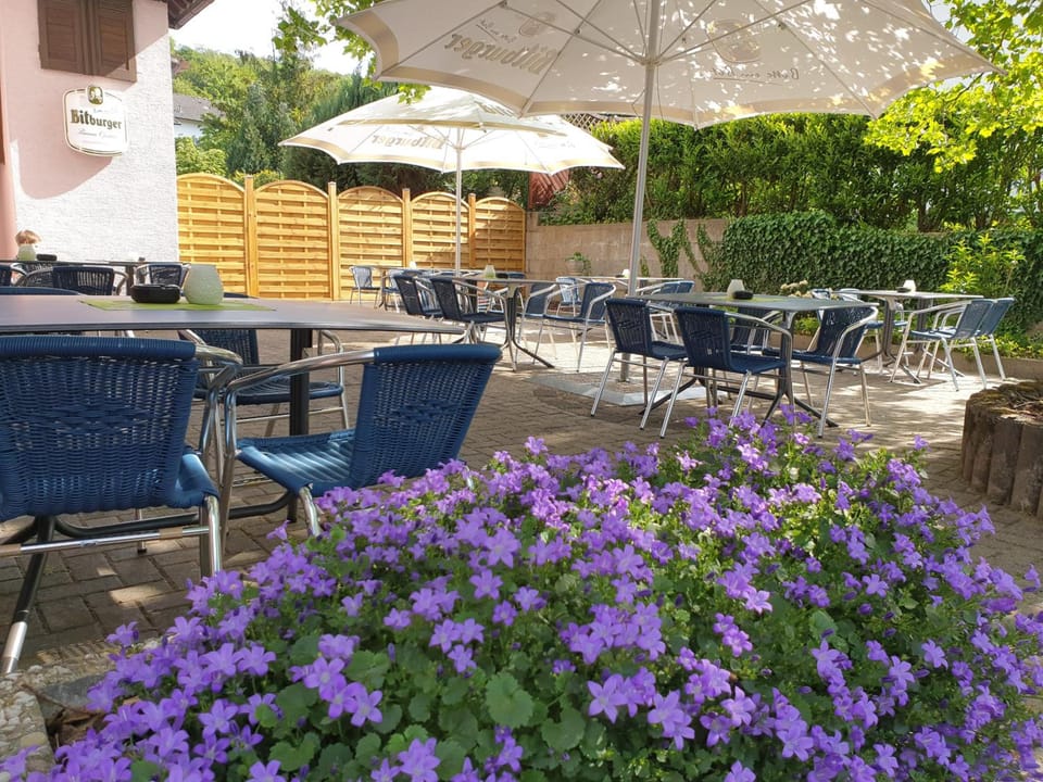 Hotel & Flammerie Pfeffermuhle Hotel in Landstuhl