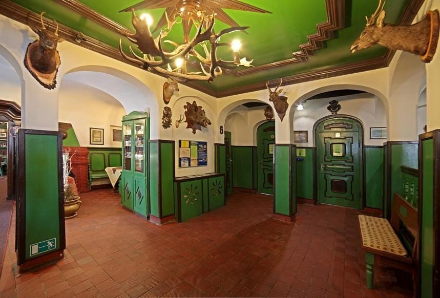 Hotel Zeleny Dum Hotel in Erzgebirgskreis