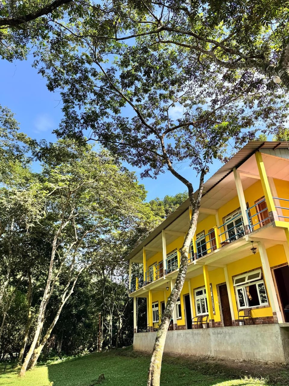 Oasis The Traveler Hostel in Guatemala