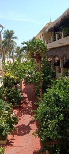Hotel Papaya Surf Hotel in Brisas de Zicatela