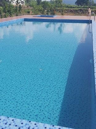 Swimming pool [outdoor]