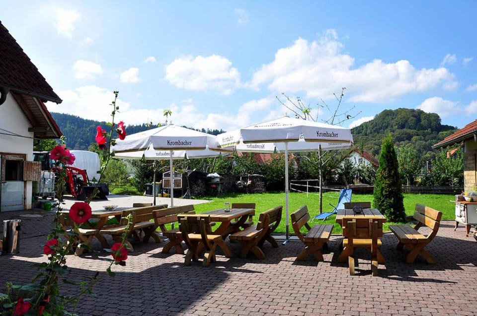 Landhotel Zur Pferdetranke Hotel in Thuringia, Germany