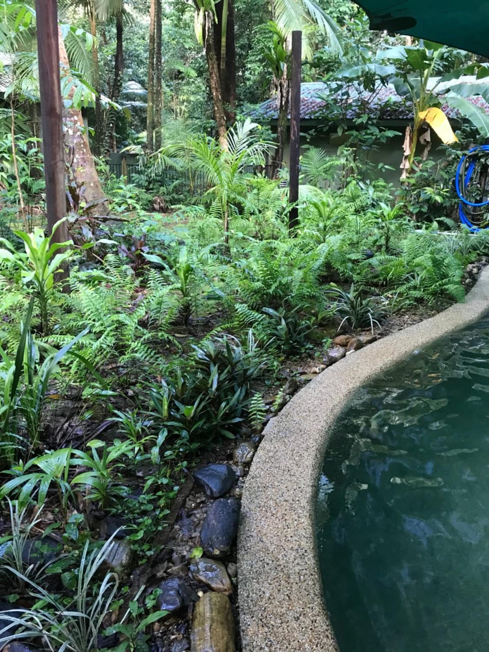 Daintree Crocodylus Village Resort in Queensland