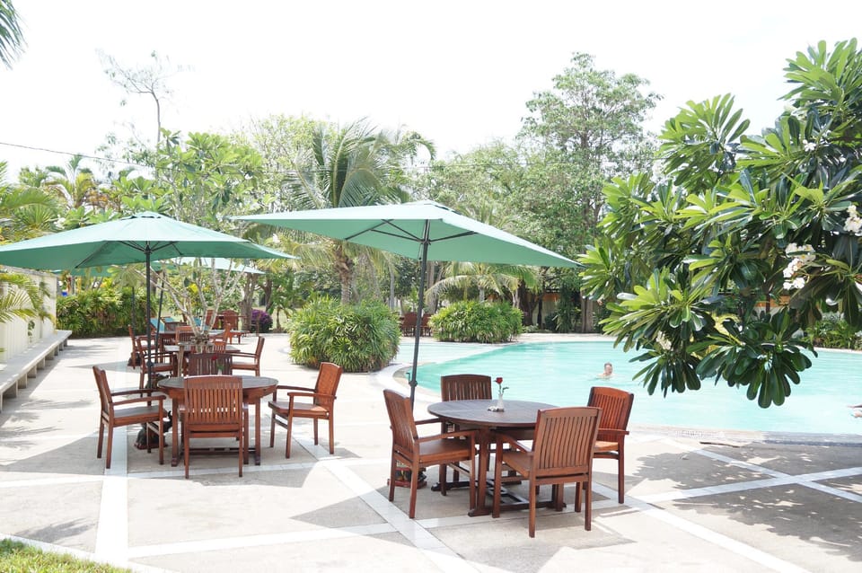 Swimming pool [outdoor]