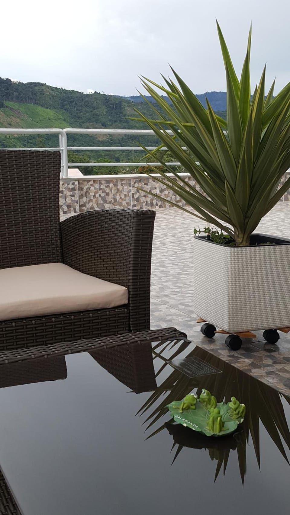 Terraza Apart Hotel Hotel in Department of Pasco