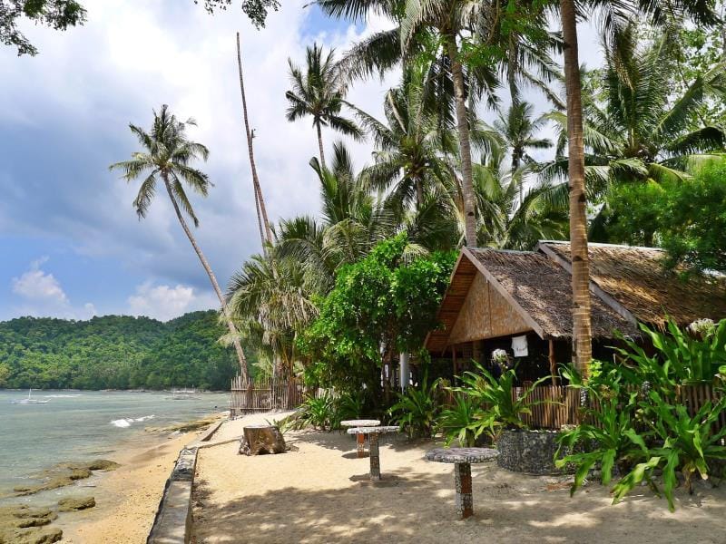 Golden Monkey Cottages Resort in El Nido