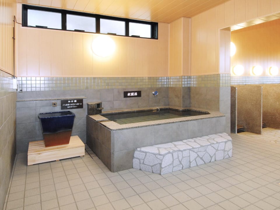 Route Inn Grantia Aoshima Taiyokaku Hotel in Japan