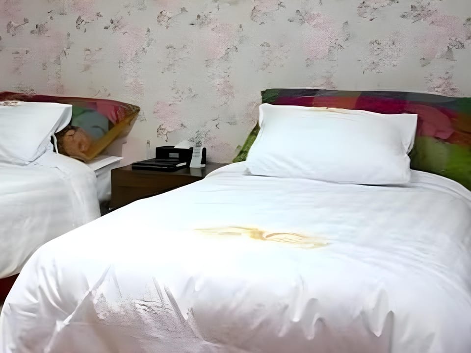 Goodstay HighValley Hotel Hotel in South Korea