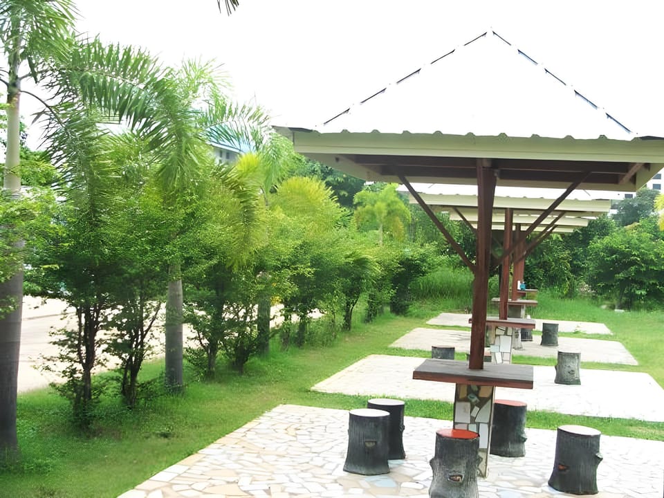 Surrounding environment
